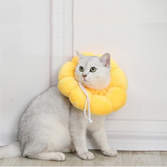 Sunflower Pet Recovery Neck Cone Collar - Picture 10 of 14